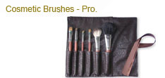 Cosmetic Brushes-Pro.
